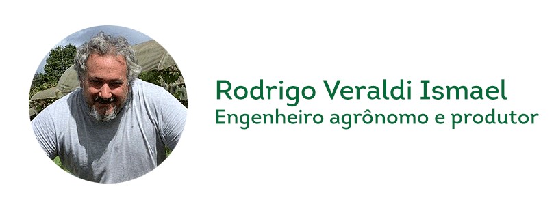 Rodrigo Veraldi Ismael