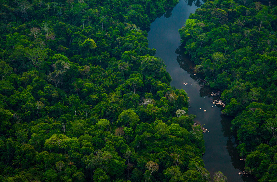 Imagem aérea mostrando o curso do rio Jamanxim, na porção paraense da floresta amazônica.