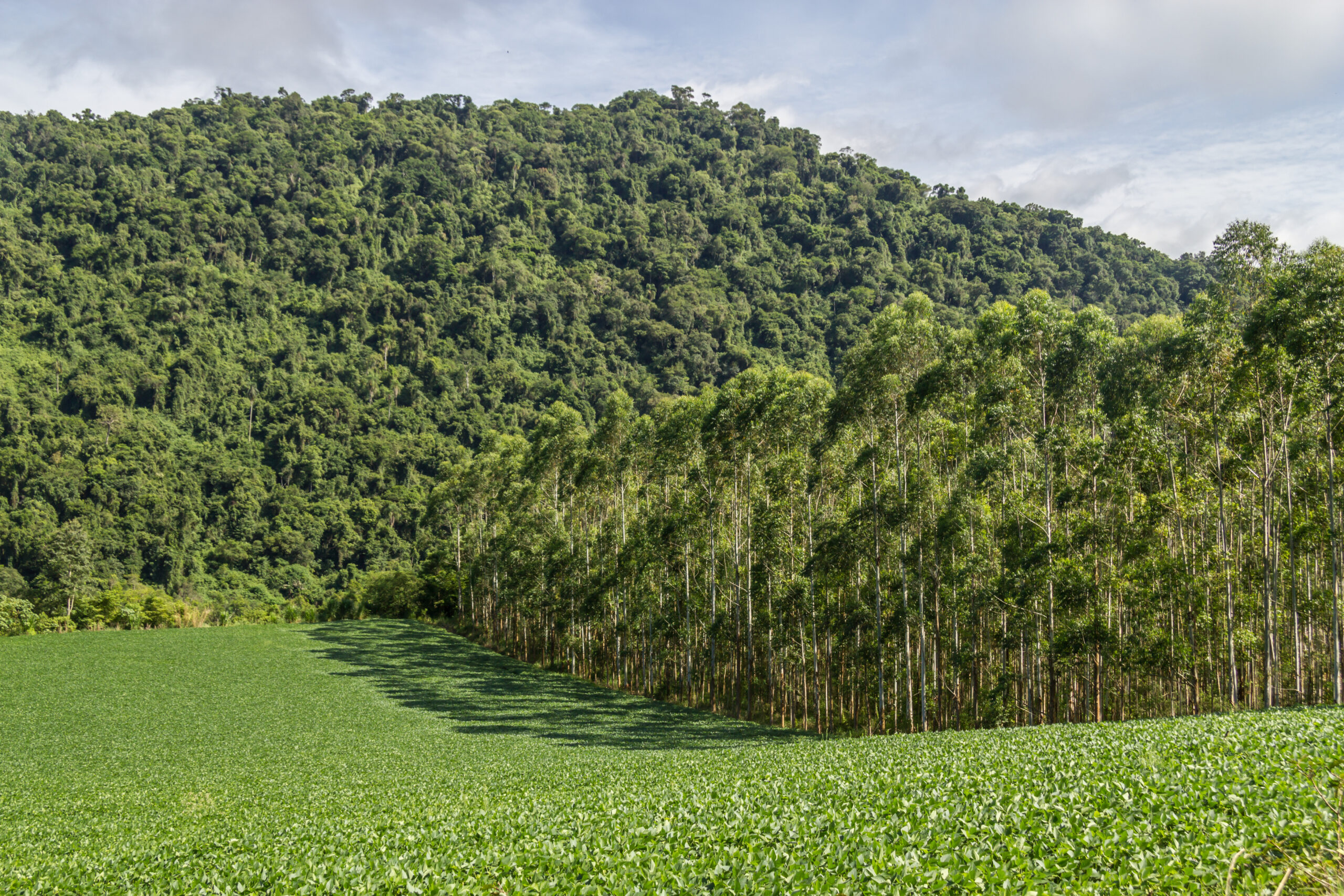 Cadastro Ambiental Rural