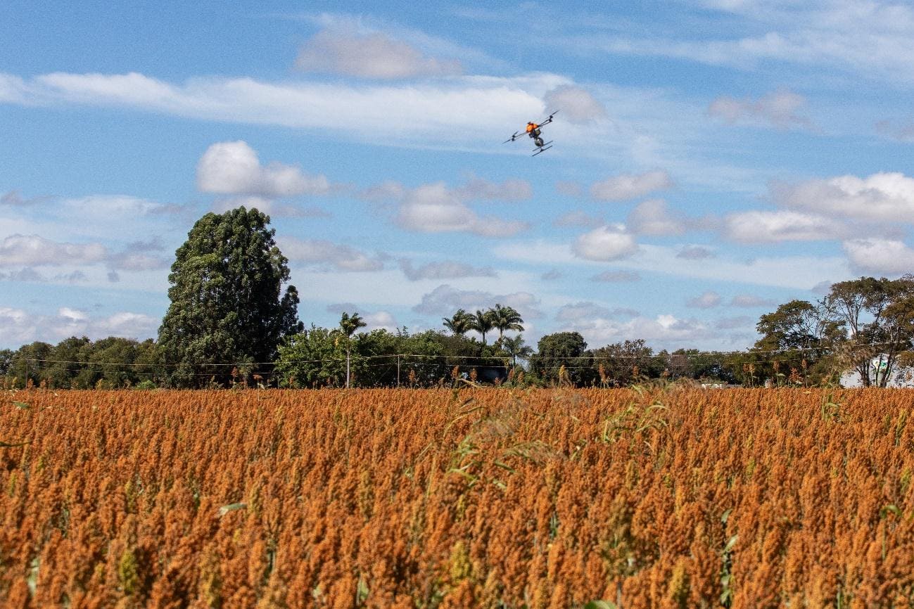 Aplicação de bioinseticidas por meio de drone em lavoura de sorgo no DF