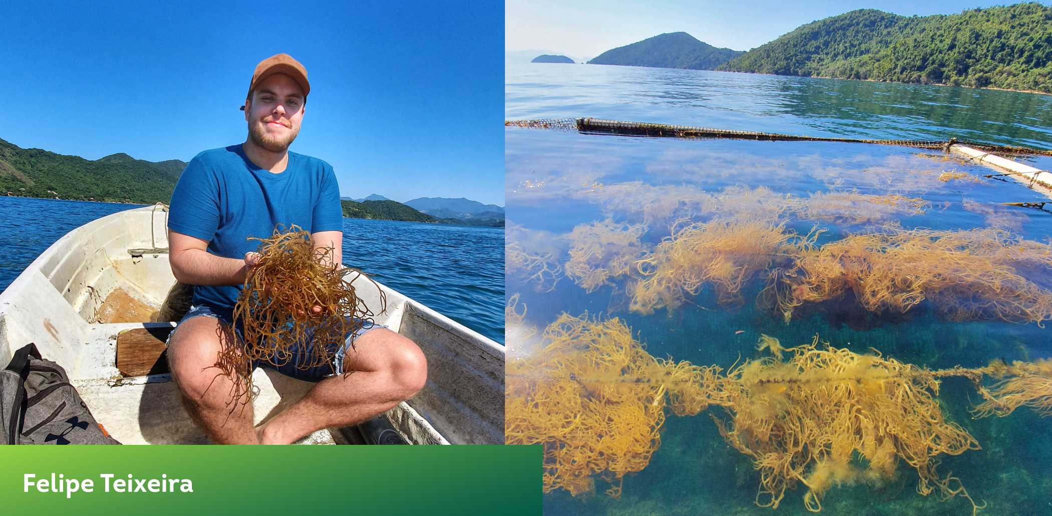 extração de produtos naturais marinhos