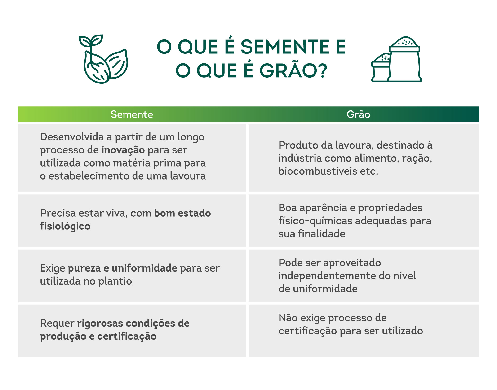 Tabela - O que é semente e o que é grão?