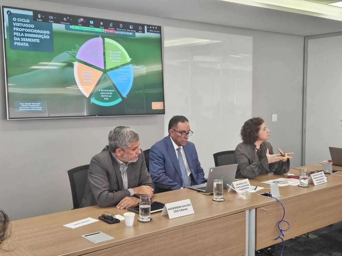 Pirataria de sementes de soja causa perdas de R$ 10 bi ao ano