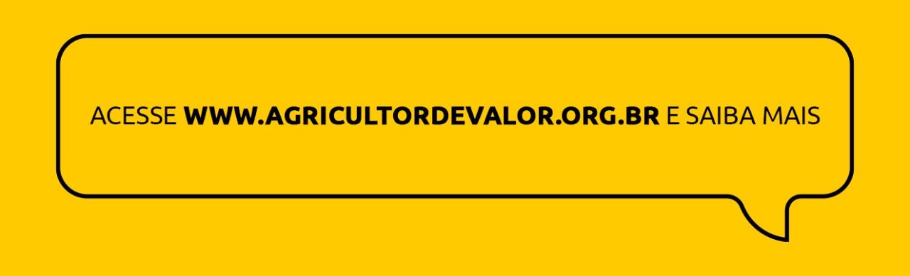 Banner campanha contra ilegais