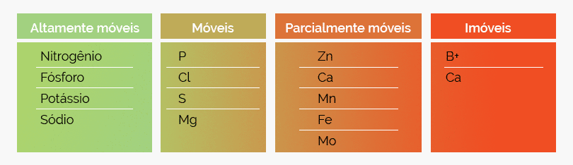 Tabela: mobilidade dos nutrientes