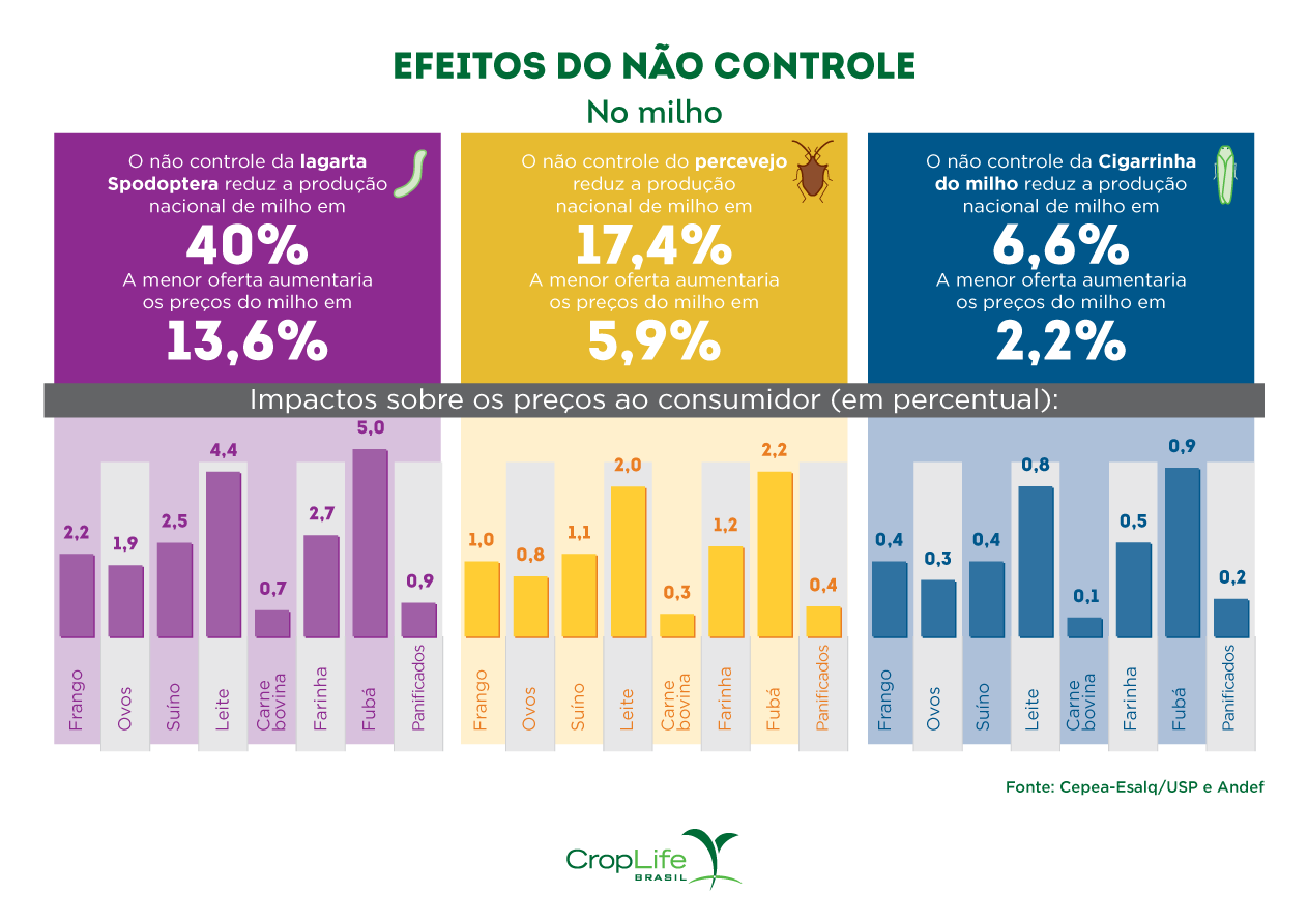 Gráfico com os efeitos do não controle no milho