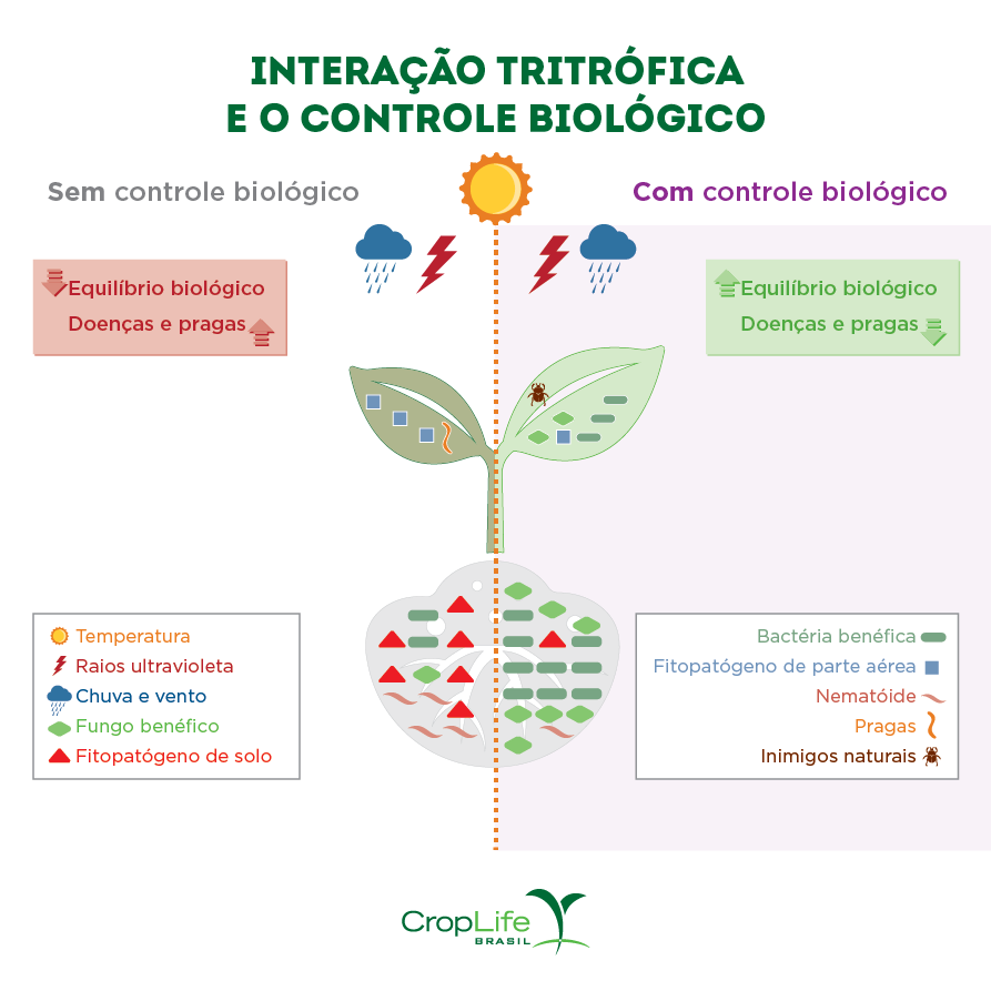 Ilustração com 2 folhas de plantas e informações acerca da interação tritrófica e os tipos de controle biológico. 