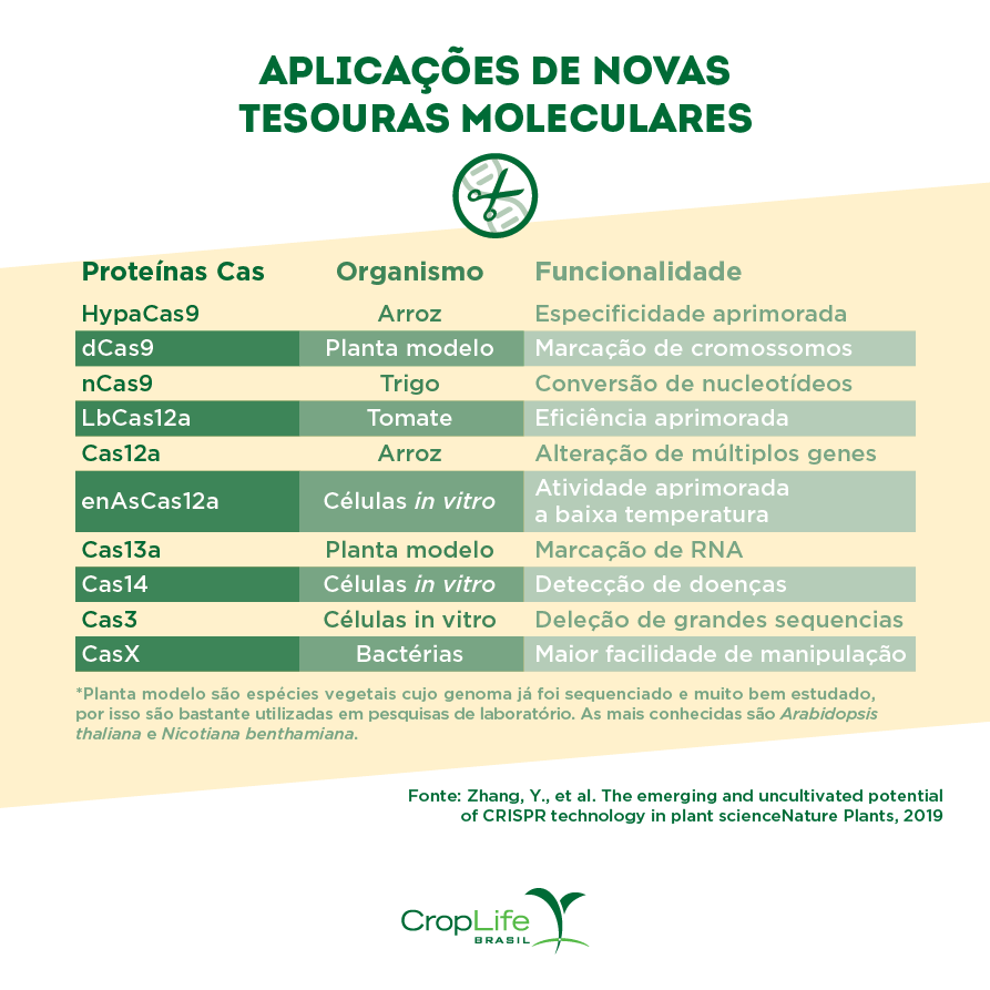Gráfico aplicações de novas tesouras moleculares