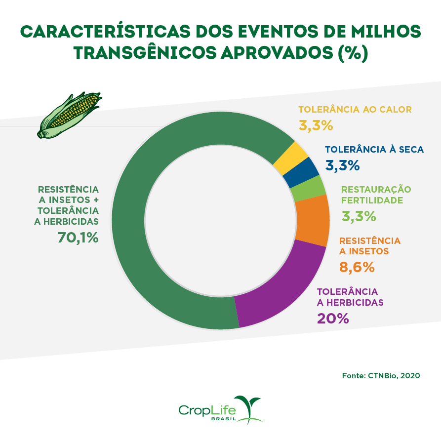 Cultura do milho: Características dos eventos de milhos transgênicos aprovados em porcentagem 