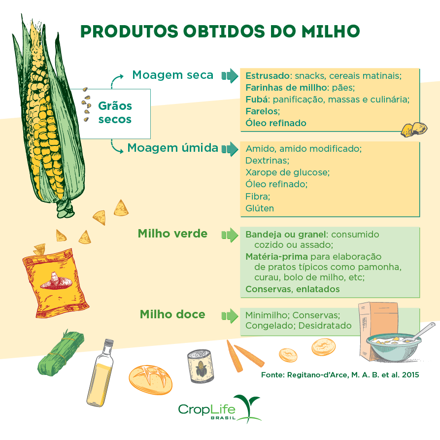 Cultura do milho: Produtos obtidos do milho