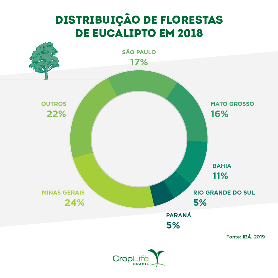 Distribuição de florestas de eucalipto em 2018