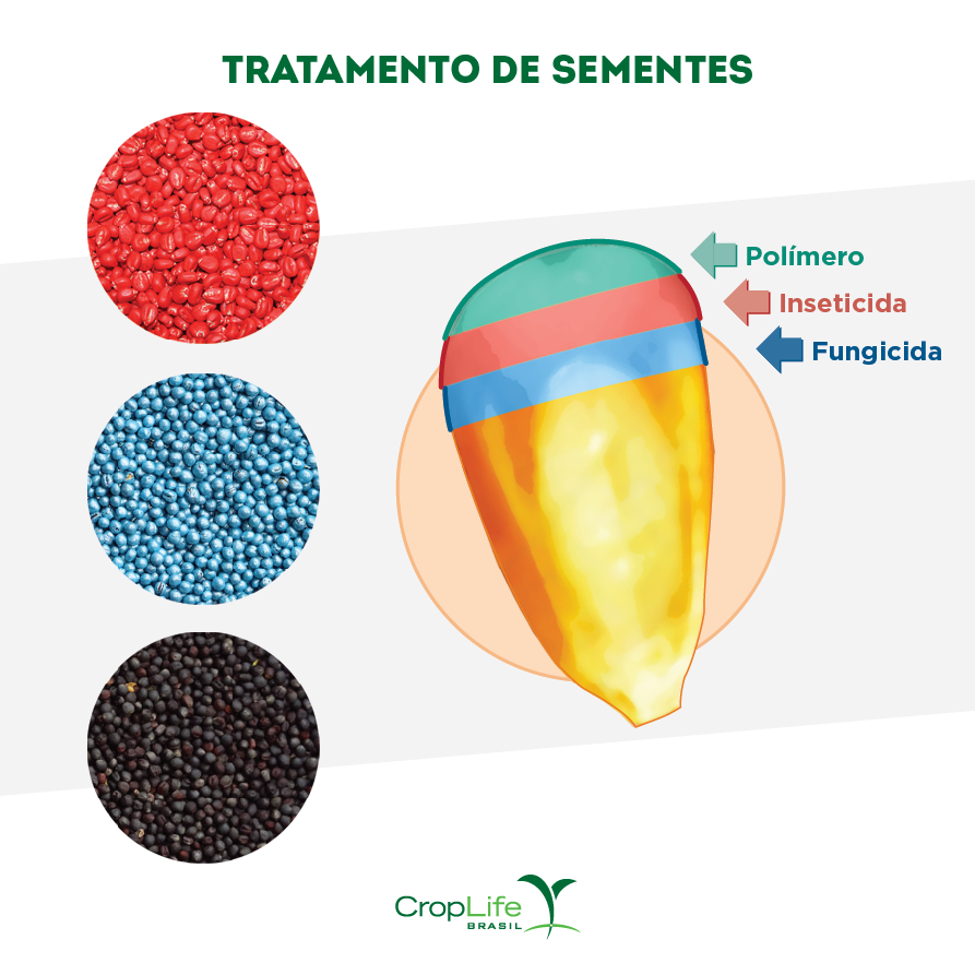 Ilustração com 3 diferentes tipos de tecnologia no tratamento de sementes e um exemplo de semente tratada. 