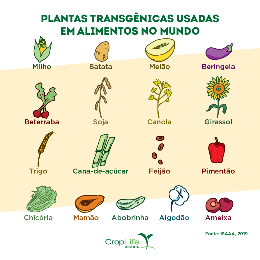 Imagens de alimentos transgênicos usados no mundo