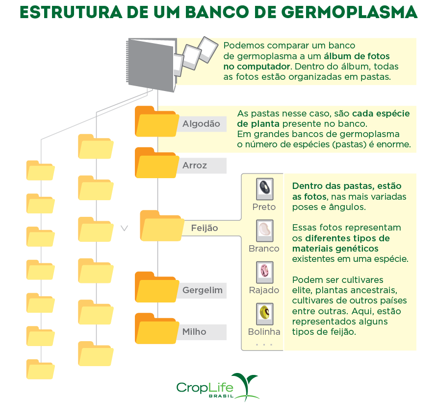 Estrutura de um banco de germoplasma