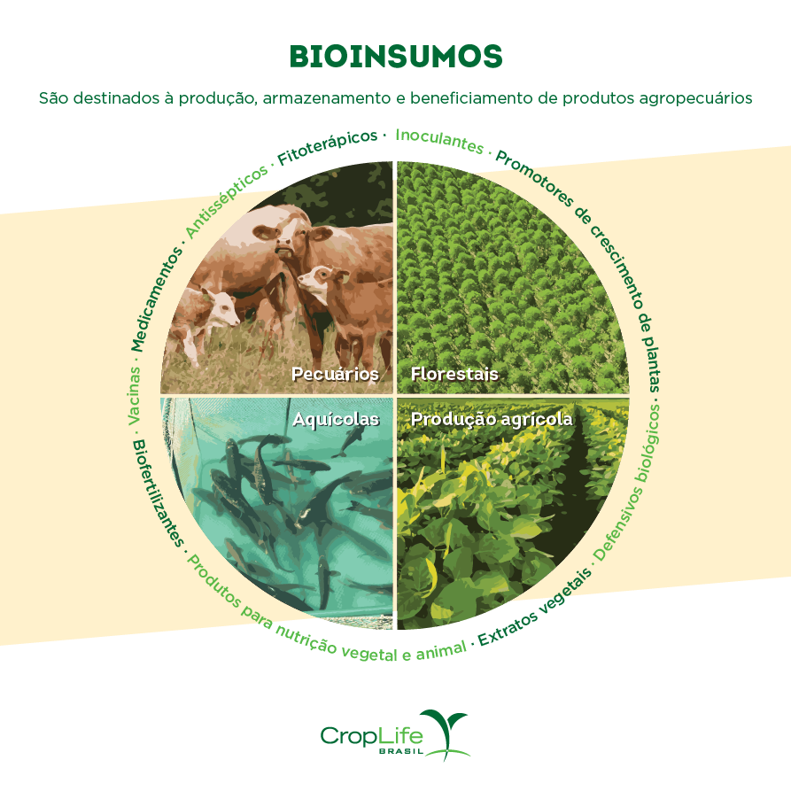 Infográfico mostrando os tipos de bioinsumos que são destinados à produção agropecuária