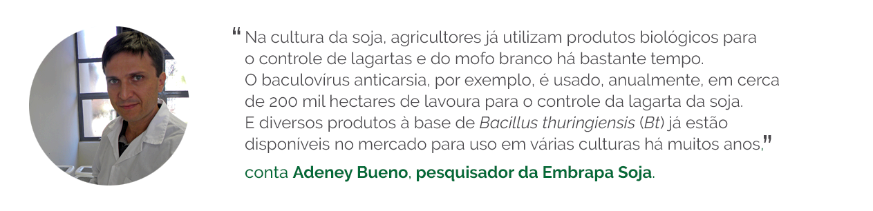 Citação Andrey Bueno - defensivos microbiológicos