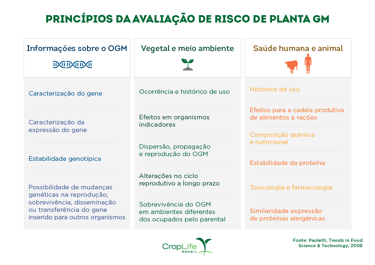 princípios da avaliação de risco de planta gm 