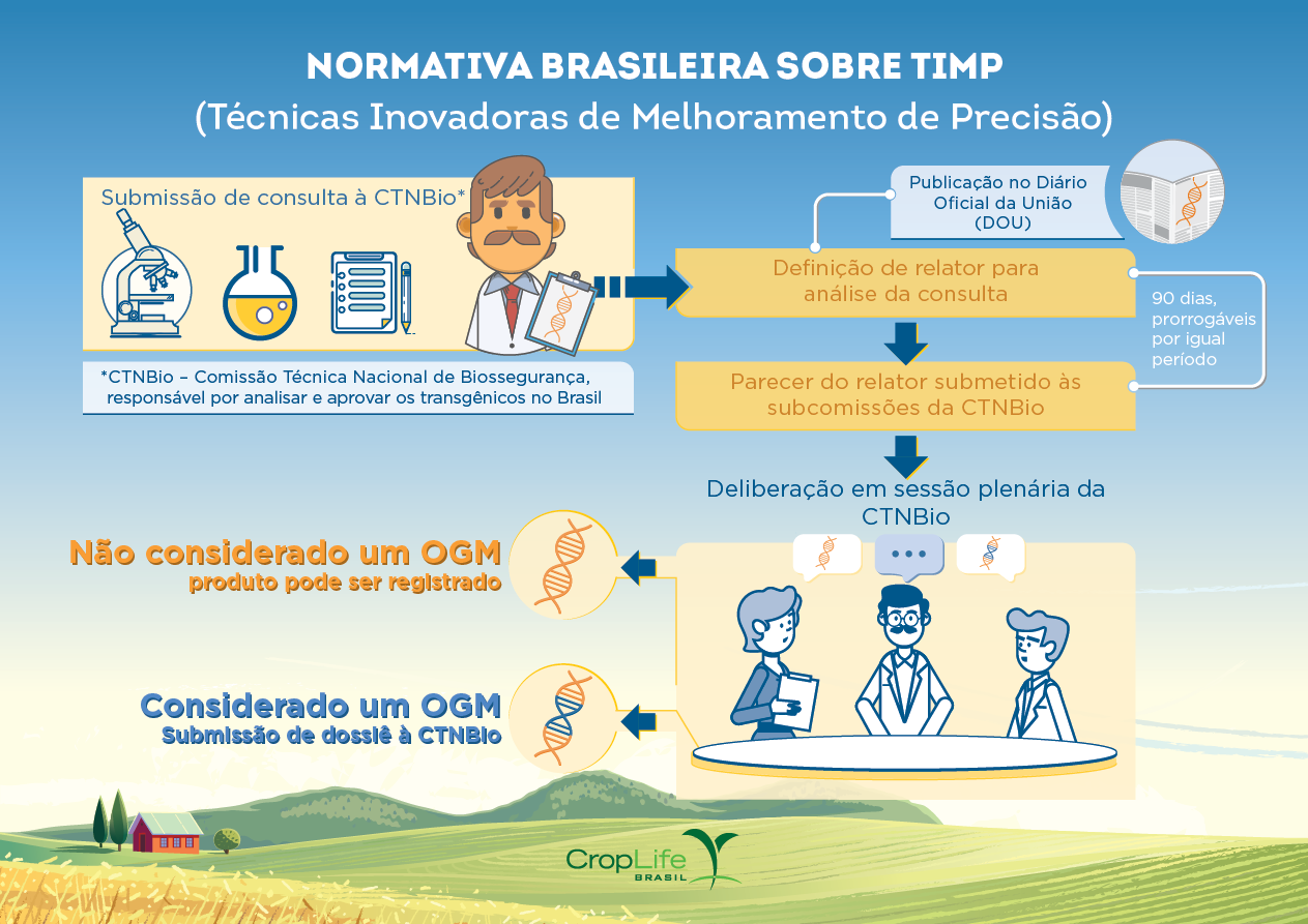 normativa brasileira sobre timp