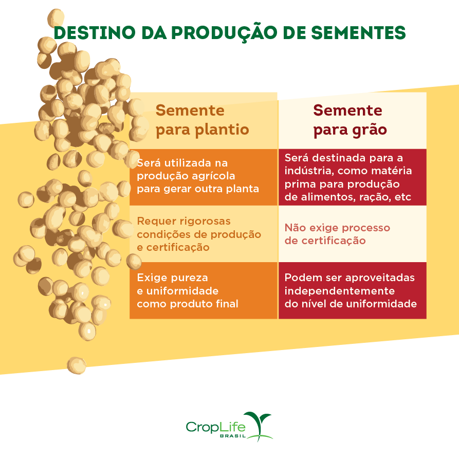 Destino da produção de sementes certificadas Comparações do destino da produção de sementes certificadas