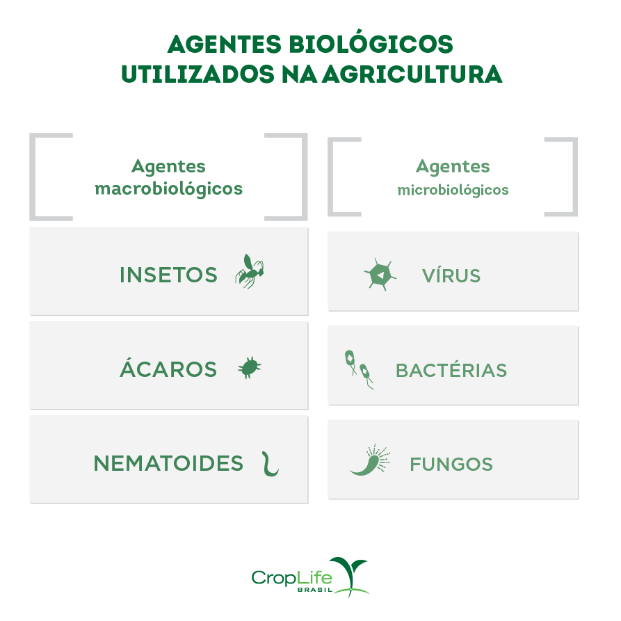 Agentes biológicos utilizados na agricultura