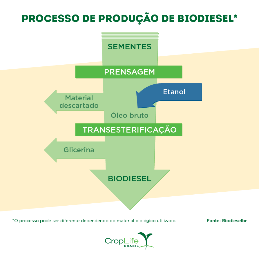 Gráfico Processo de Produção de Biodiesel para Bioenergia