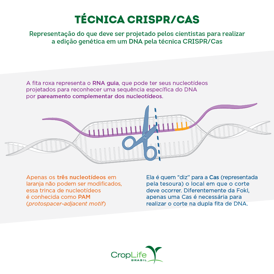 edição gênica: técnica CRISPR/CAS