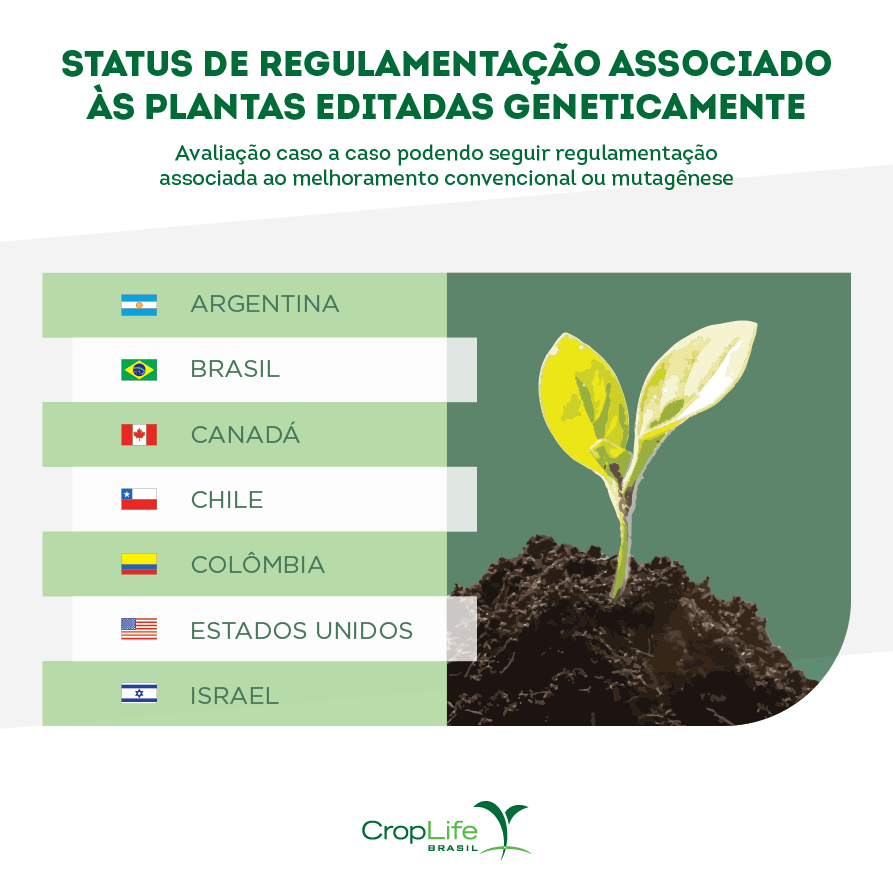 status de regulamentação associada às plantas editadas geneticamente