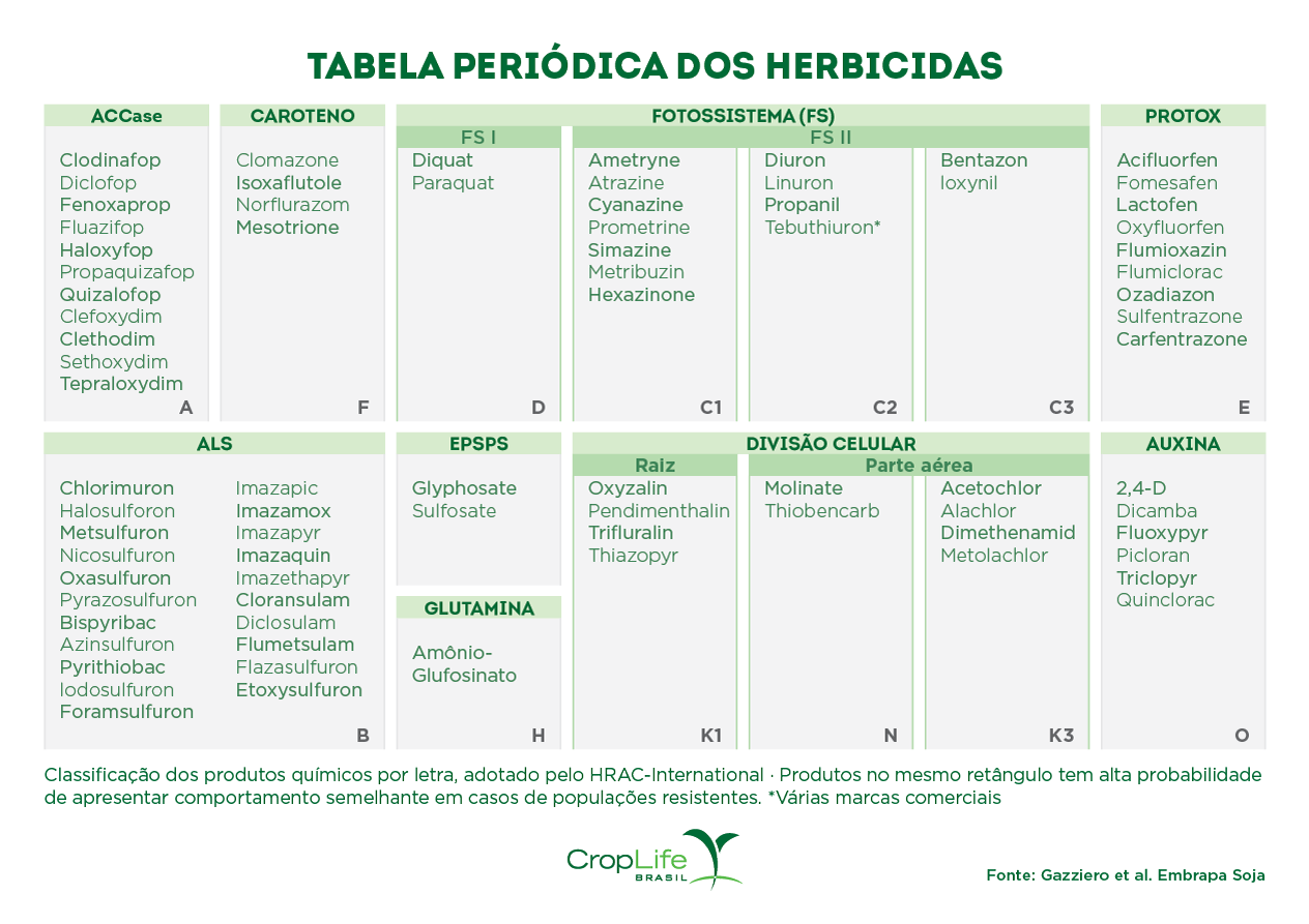Infográfico mostrando a tabela periódica dos herbicidas, com informações sobre sua composição 