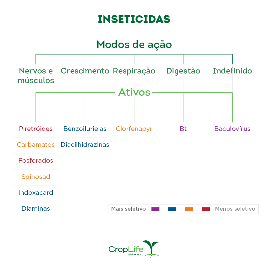 A imagem apresenta o modo de ação de diversos tipos de inseticidas.