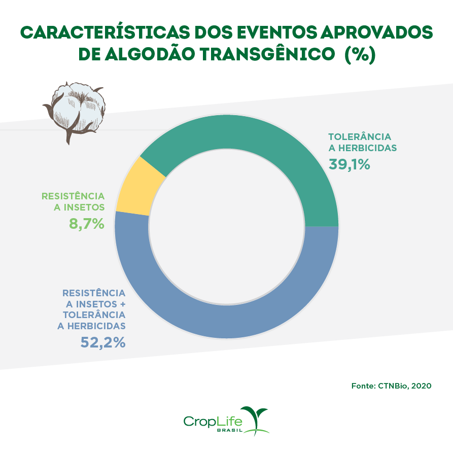 Gráfico das características dos eventos aprovados de algodão transgênico