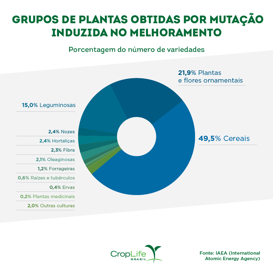Grupo de plantas obtidas por mutação induzida no melhoramento