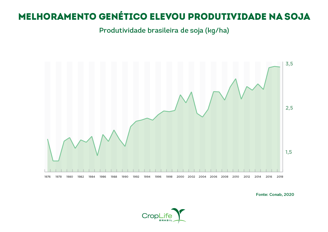 Melhoramento genético elevou produtividade na soja Gráfico do aumento da produtividade brasileira da soja transgênica