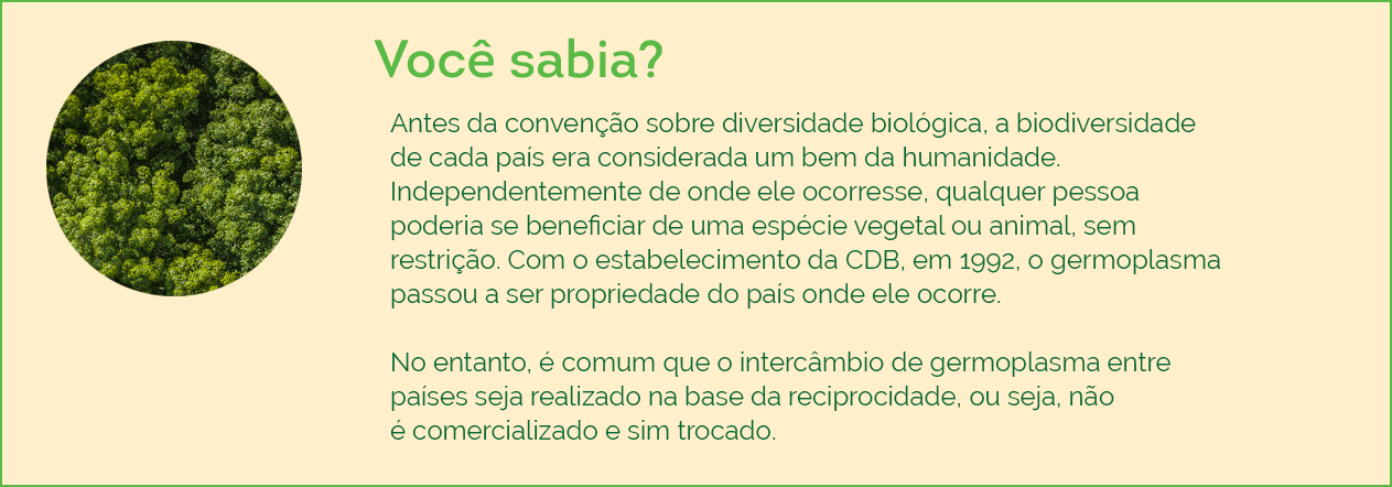 você sabia?