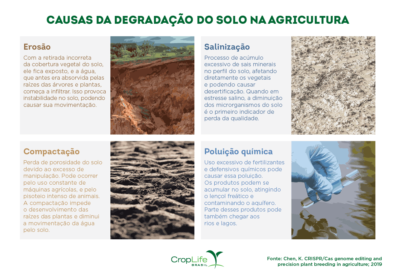 causas da degradação do solo