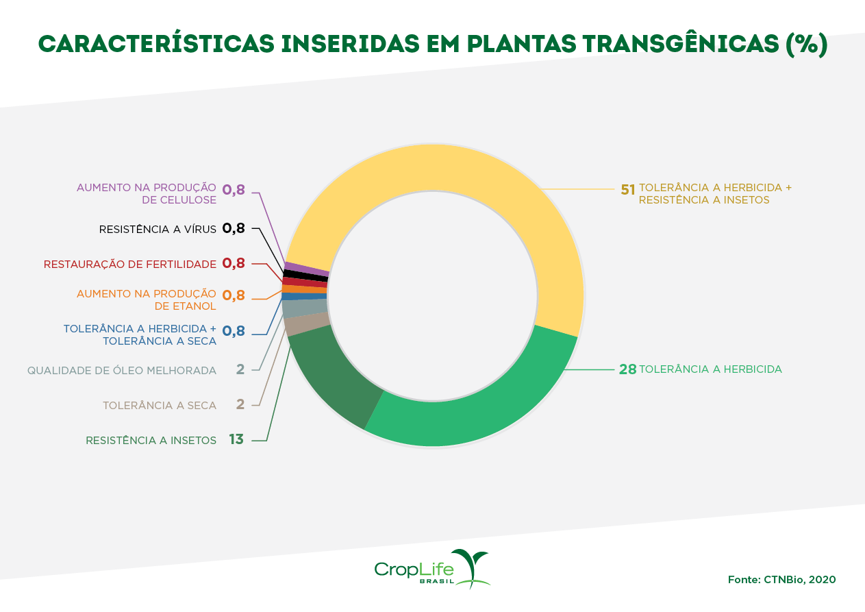 Plantas transgênicas no Brasil Plantas transgênicas no Brasil