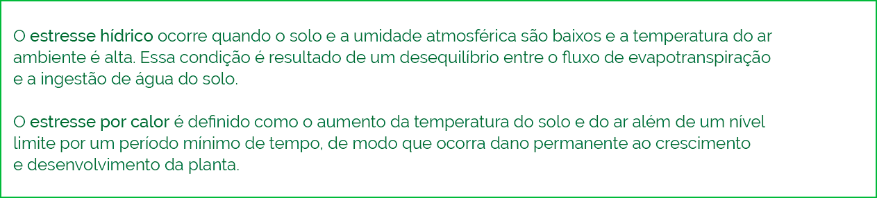 Plantas tolerantes à seca