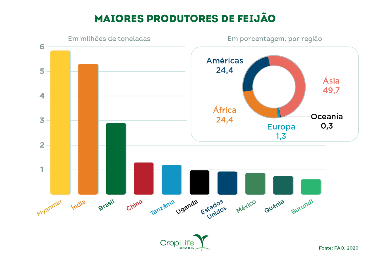 Gráfico maiores produtores de feijão 