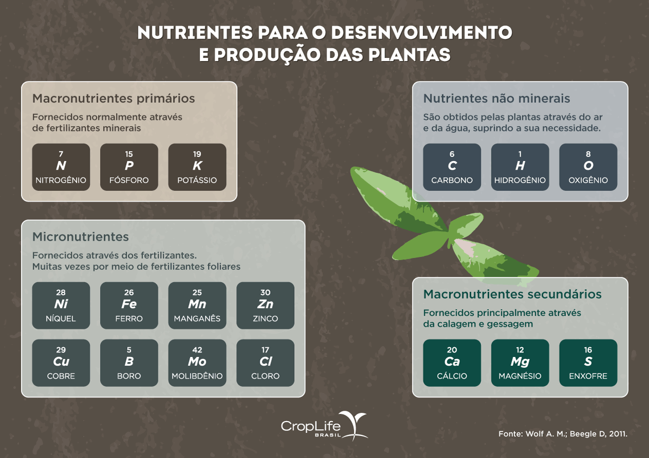 tabela mostrando os 17 nutrientes essenciais para a vida e cultivo das plantas
