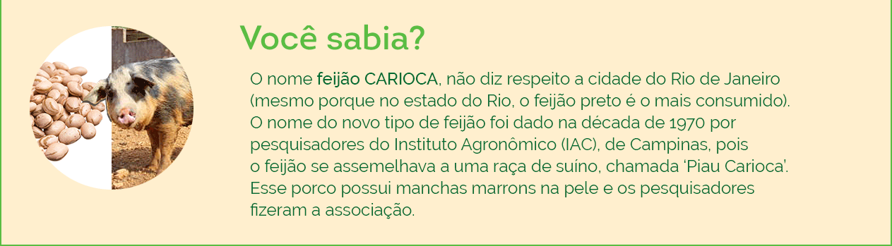 Você sabia? Quadro explicativo