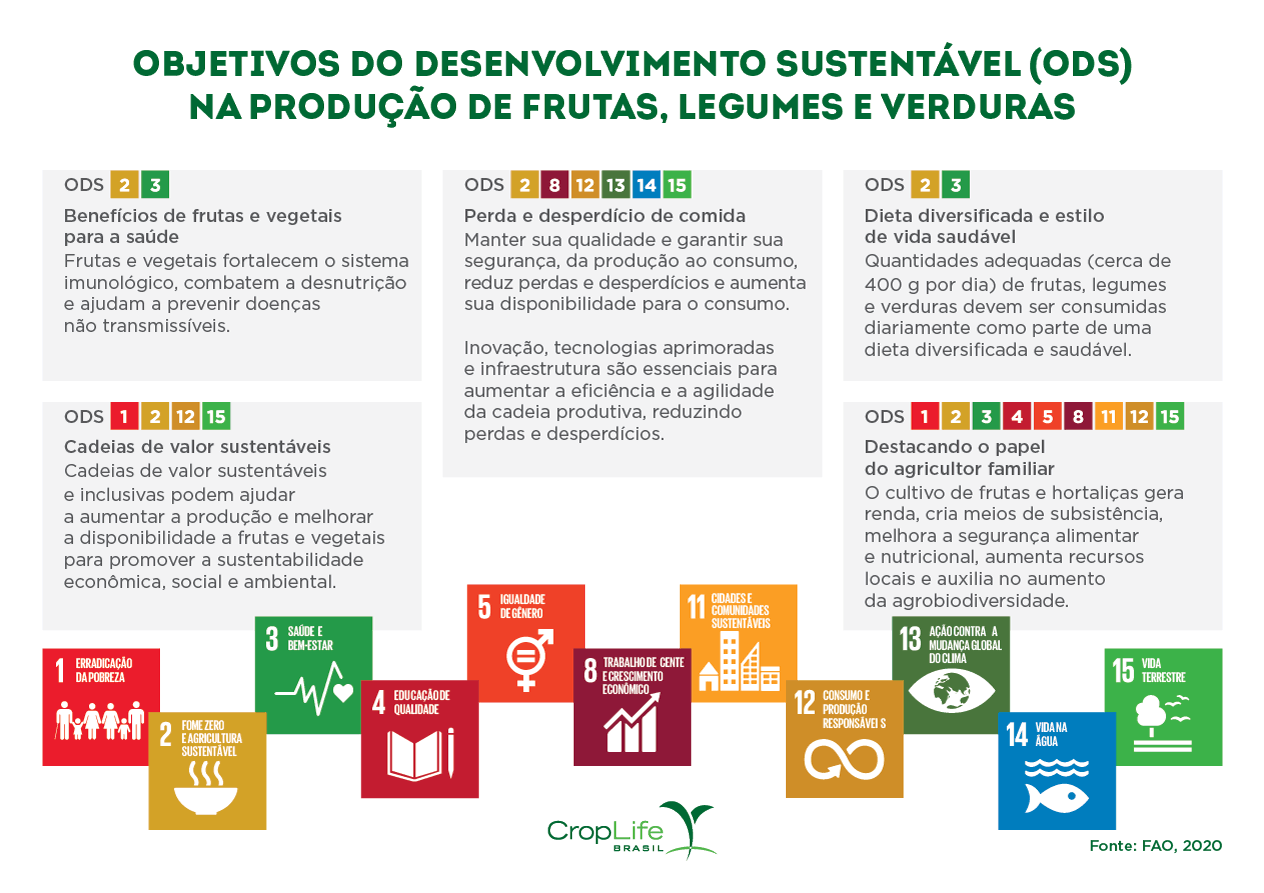 Objetivos de Desenvolvimento Sustentável na produção de frutas, legumes e verduras