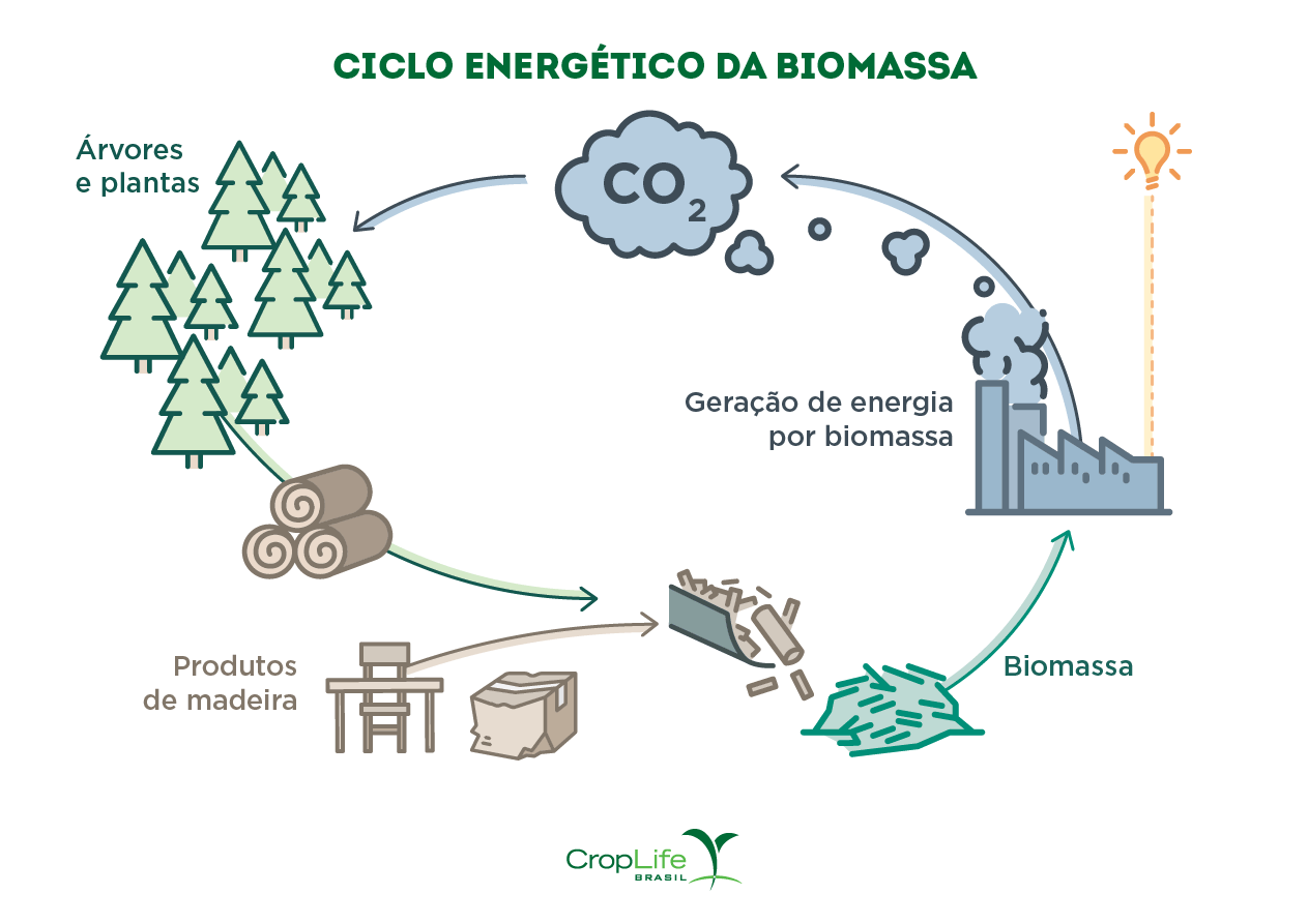 Gráfico Ciclo Energético da Biomassa