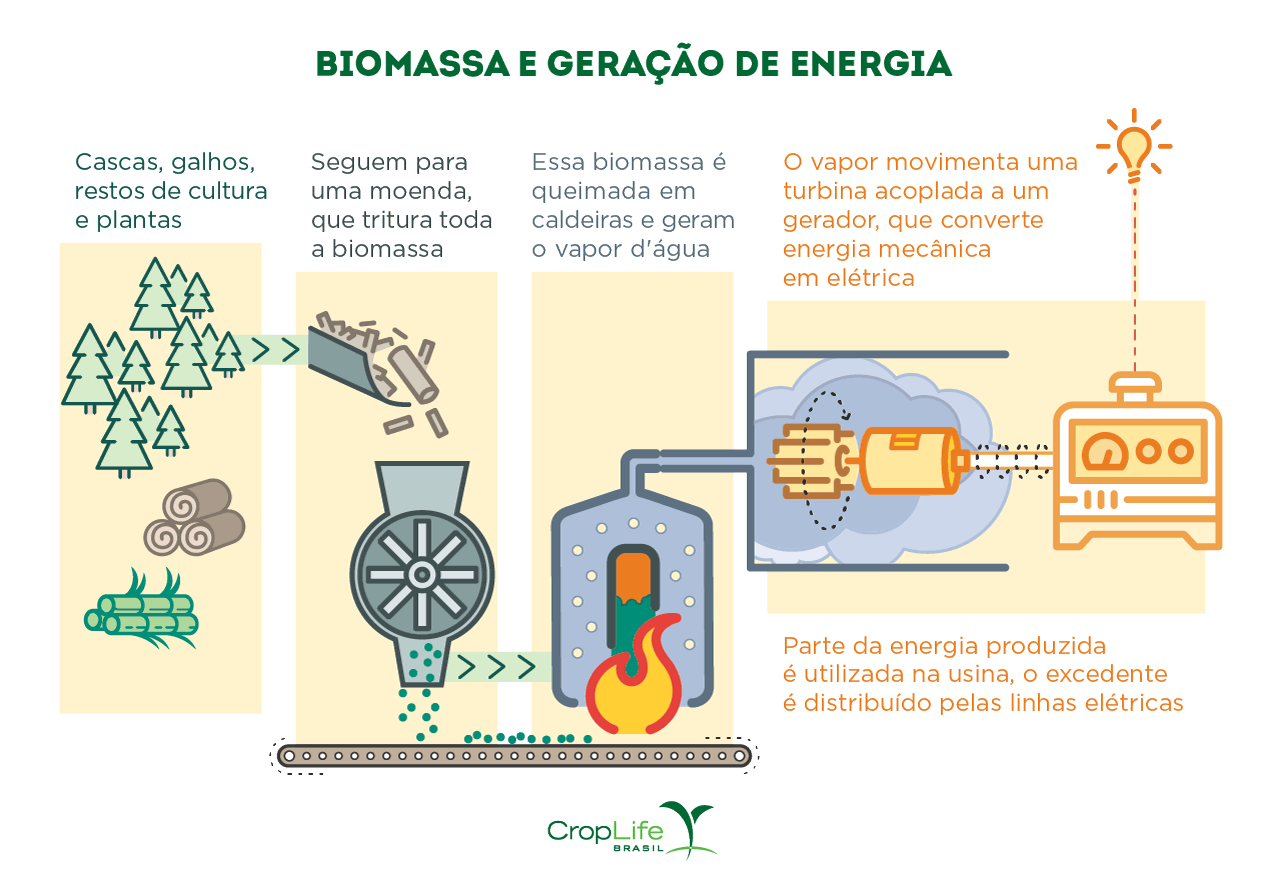 Gráfico Biomassa e Geração de Energia