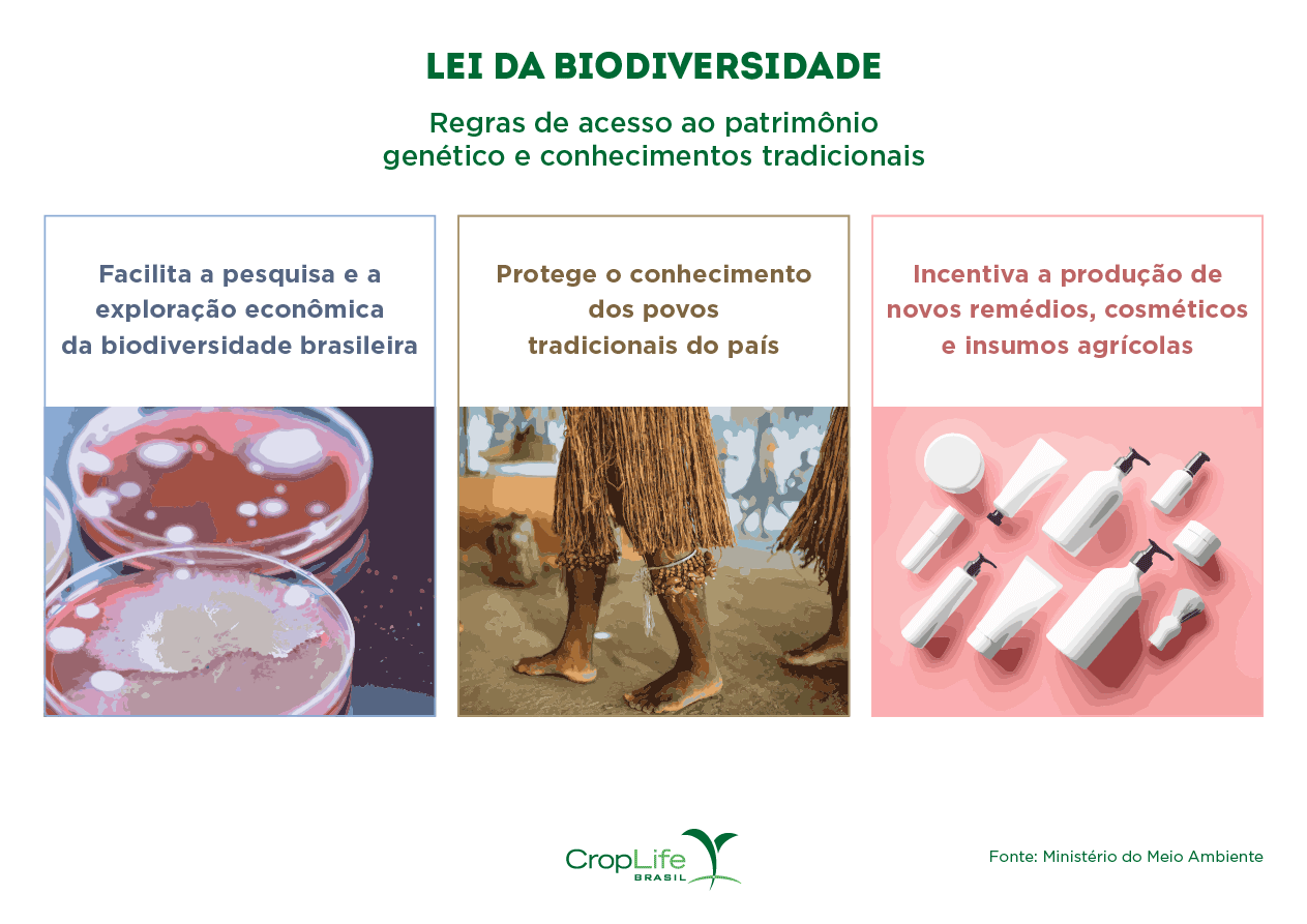 Lei da Biodiversidade: regras de acesso ao patrimônio genético e conhecimentos tradicionais