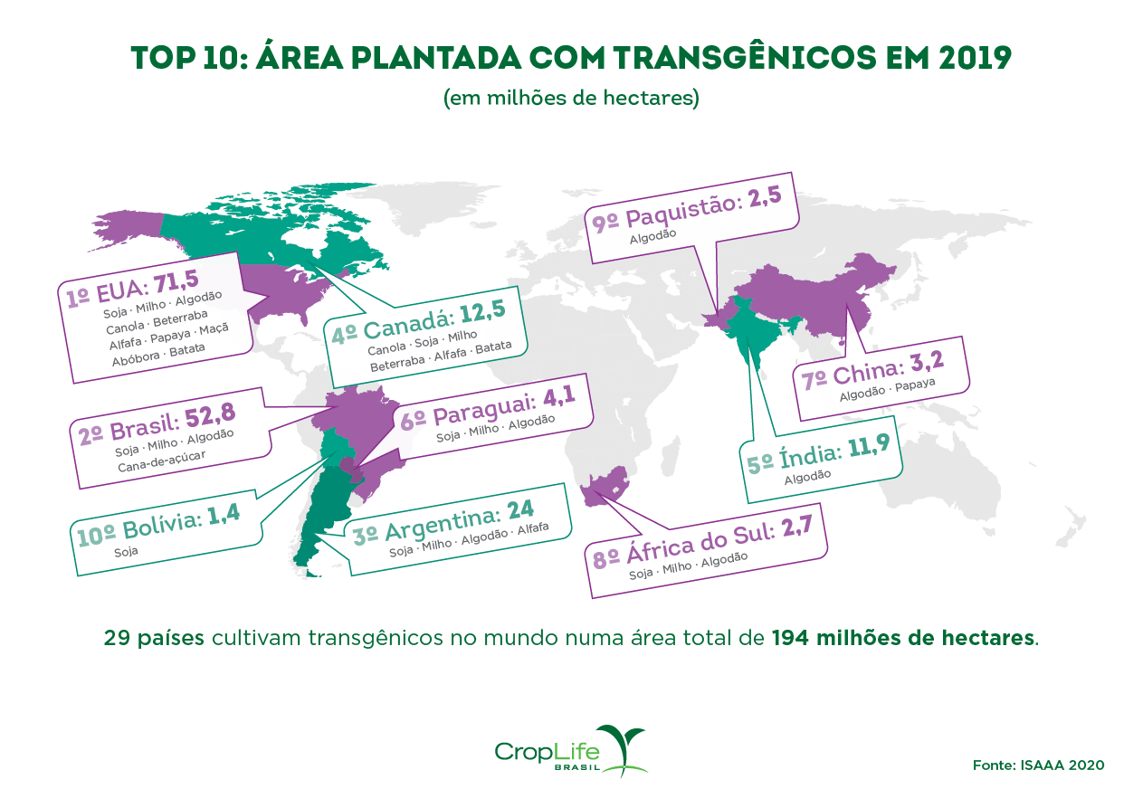 Infográfico mostrando as 10 maiores áreas plantadas com transgênicos ao redor do mundo