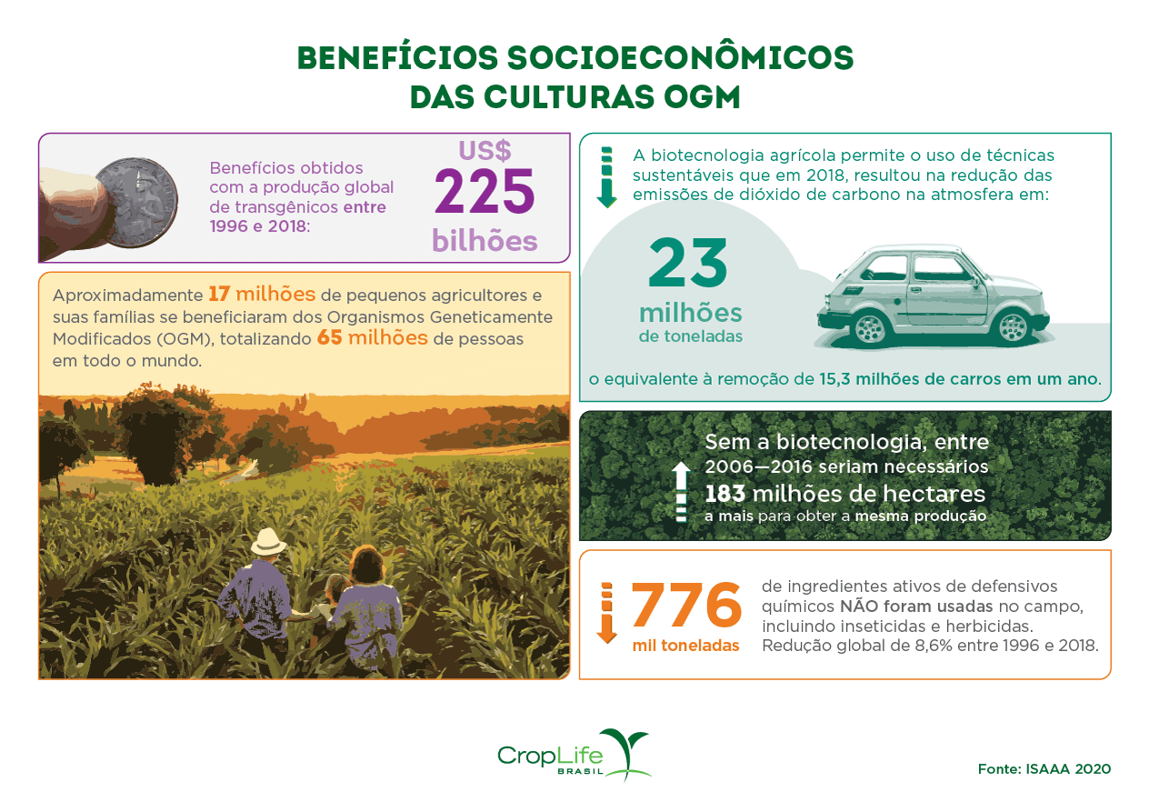 Benefícios socioeconômicos das culturas transgênicas