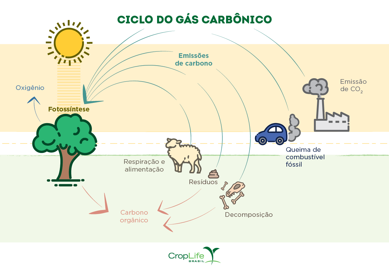 gráfico sobre o Ciclo do Gás Carbônico - Descarbonização 