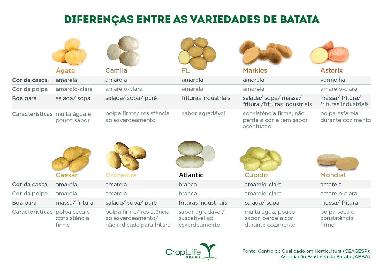Gráfico: diferença entre as variedades de batatas 
