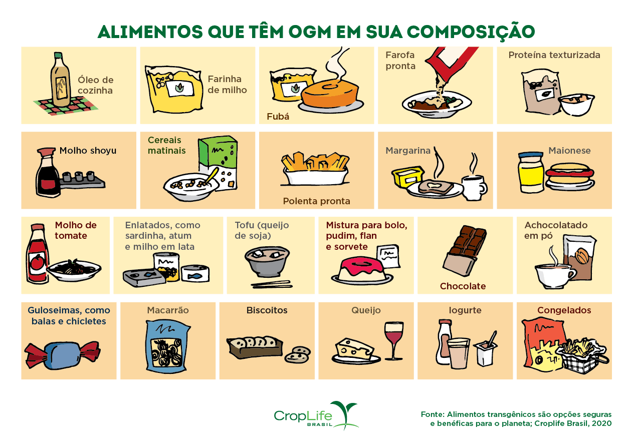 alimentos que têm ogm em sua composição