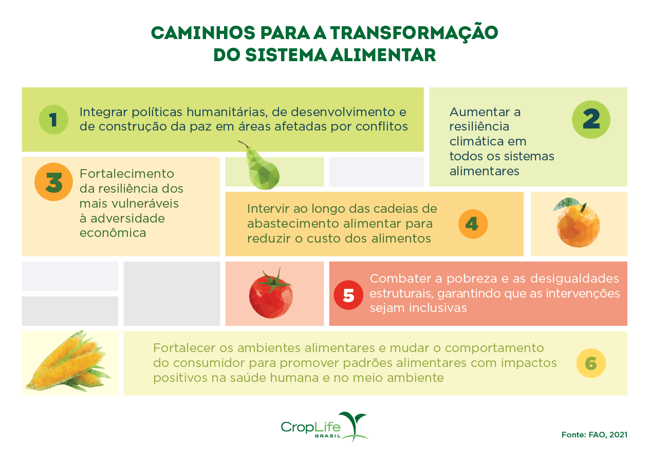 Segurança alimentar: Infográfico mostrando caminhos para a transformação do sistema alimentar