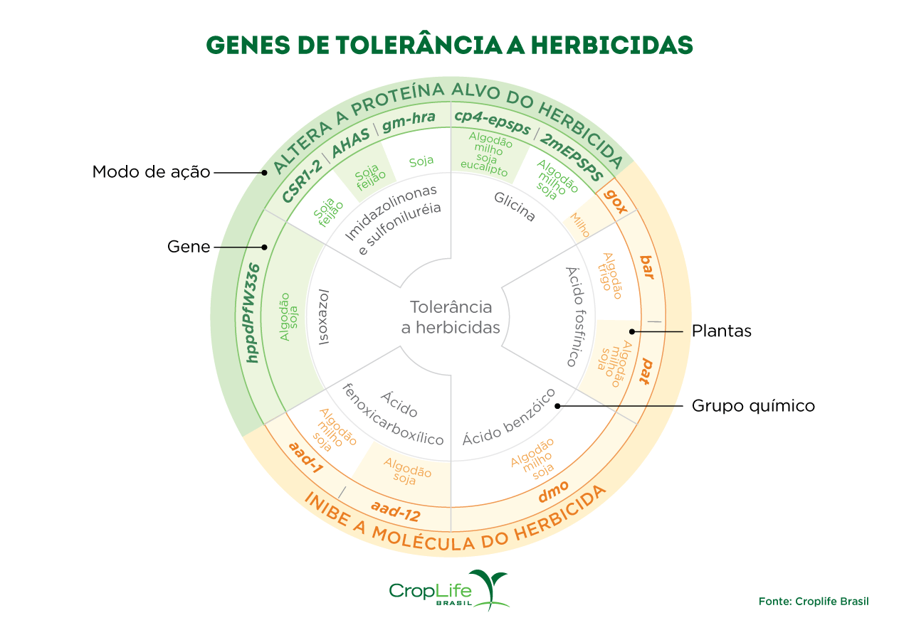 gráfico circular apresentando todos os genes de tolerância a herbicidas utilizados no desenvolvimento de plantas transgênicas.